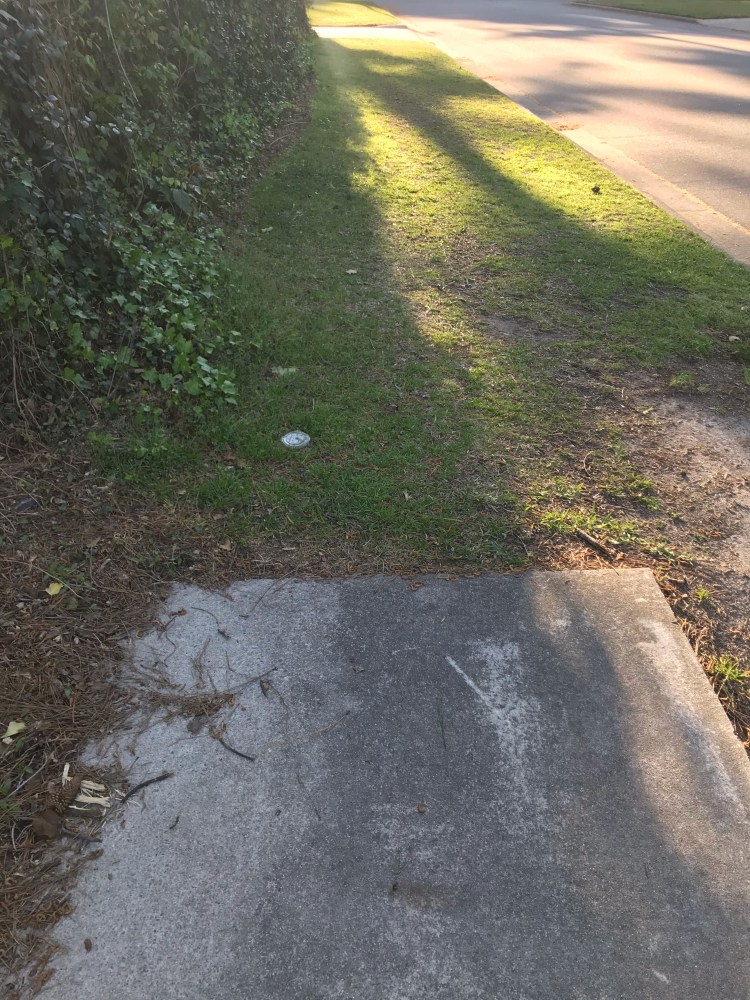 20200402 Greenville sidewalk 2