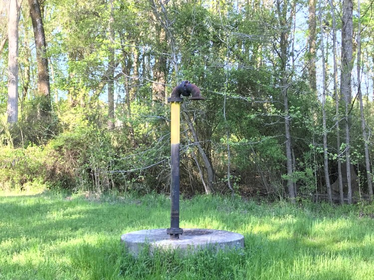 20200403 Paramore Park path sewer vent