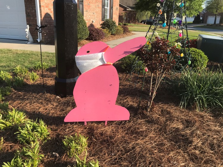 20200409 masked bunny