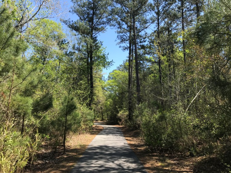 20200411 keene trail