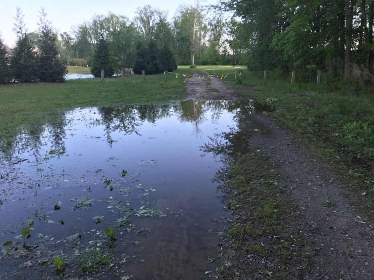 20200413 path puddle