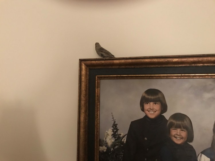 20200418 bird on picture