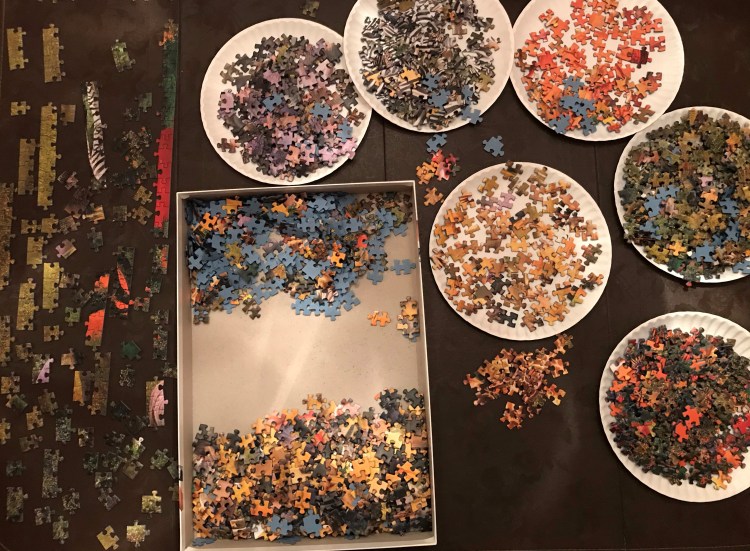 20200505 puzzle waterhole