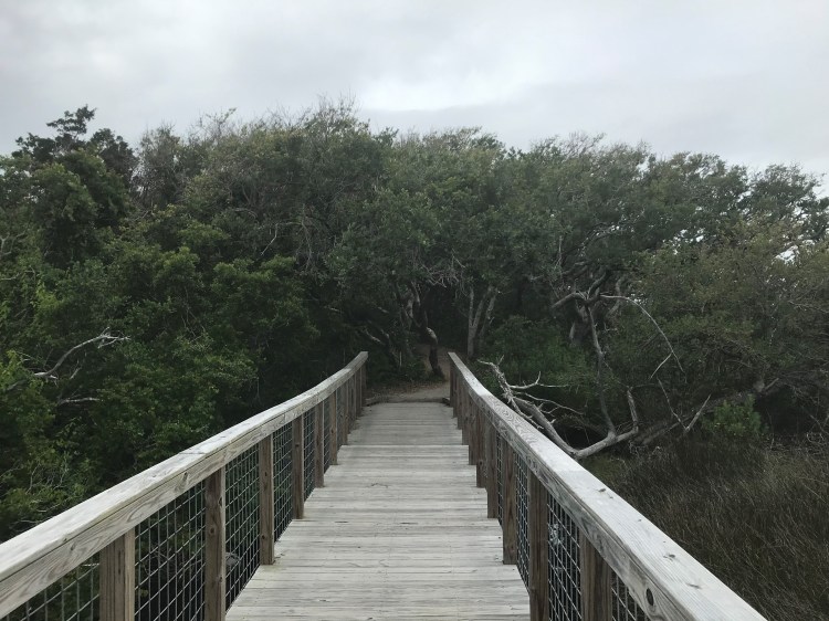 20200526 maritime forest boardwalk