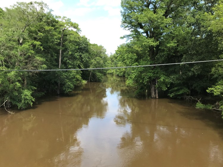 20200531 contentnea creek