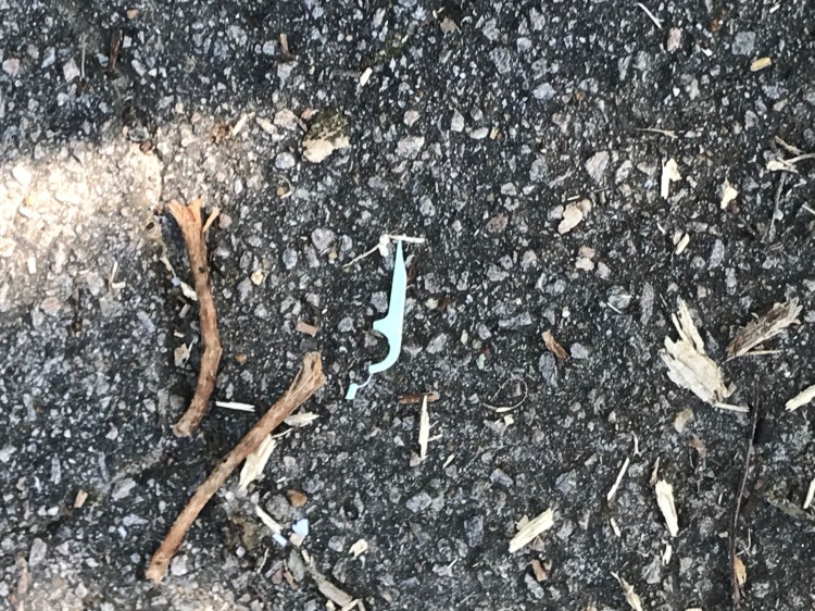 20200703 murfreesboro chowan floss