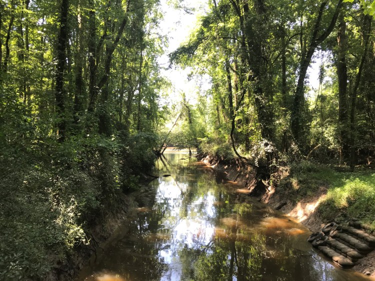 20200711 parkers creek