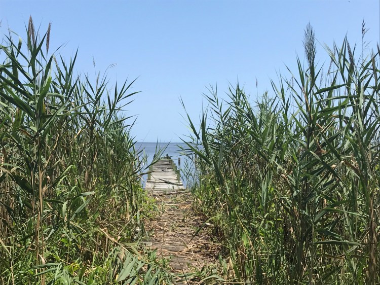 20200717 currituck pier