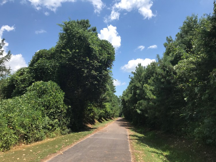 20200726 louisburg greenway