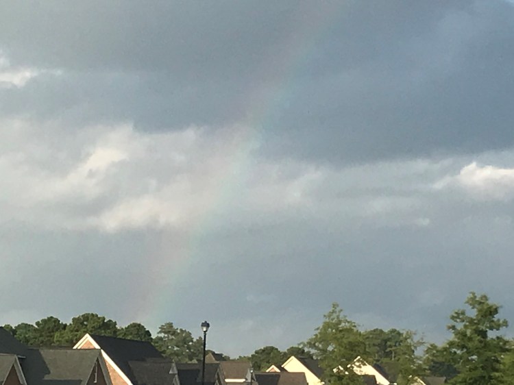 20200731 rainbow