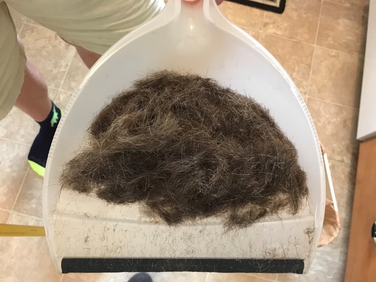 20200808 azs haircut